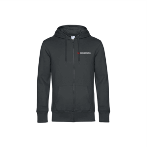 Databricks Zip Hoody Herren VA Asphalt